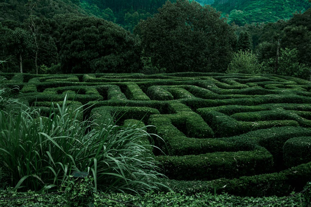 Explore the intricate green hedge maze in Campos do Jordão, Brazil's vibrant landscape.